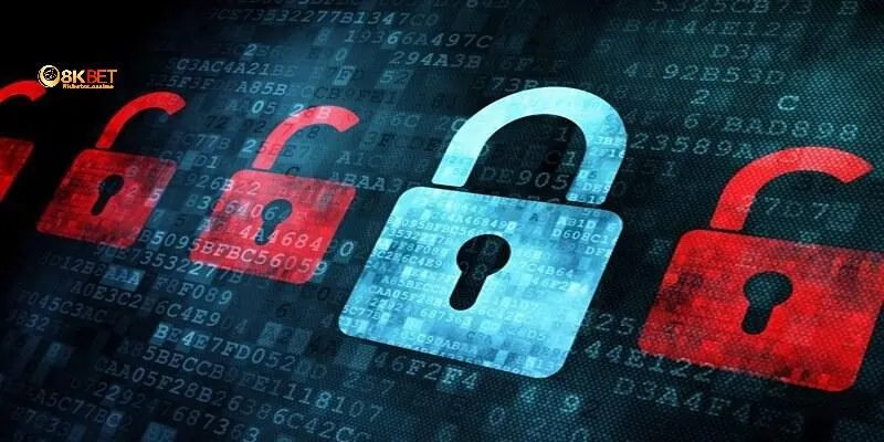 Đâu là điểm cần lưu ý trong chính sách Cookie 8kbet?